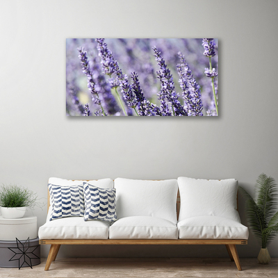 Foto quadro su tela Fiori, piante, natura