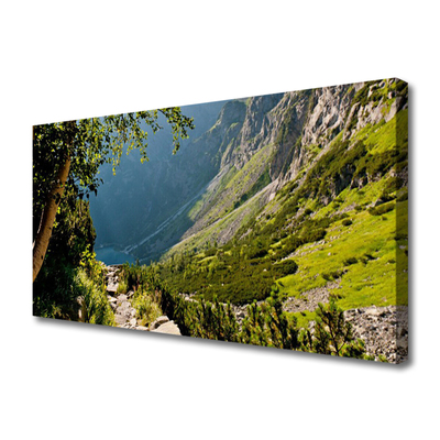 Quadro su tela Natura della foresta di montagna