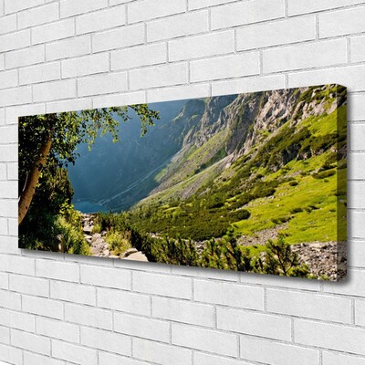 Quadro su tela Natura della foresta di montagna