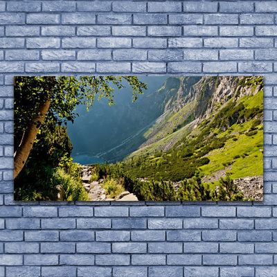 Quadro su tela Natura della foresta di montagna