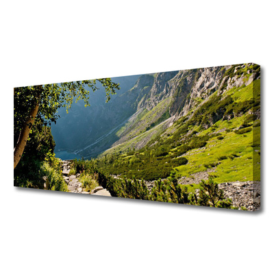 Quadro su tela Natura della foresta di montagna