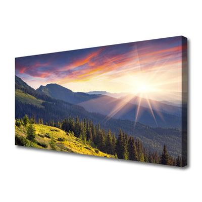 Quadro su tela Paesaggio del sole della montagna della foresta