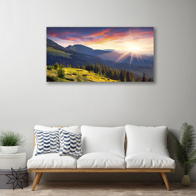 Quadro su tela Paesaggio del sole della montagna della foresta