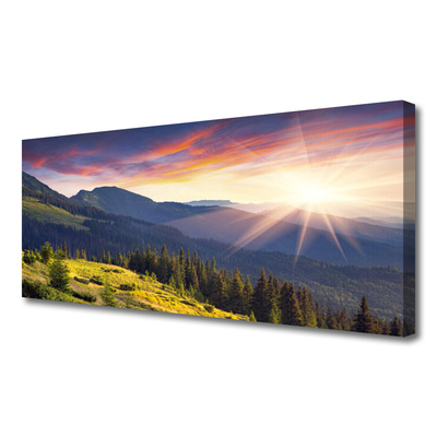 Quadro su tela Paesaggio del sole della montagna della foresta