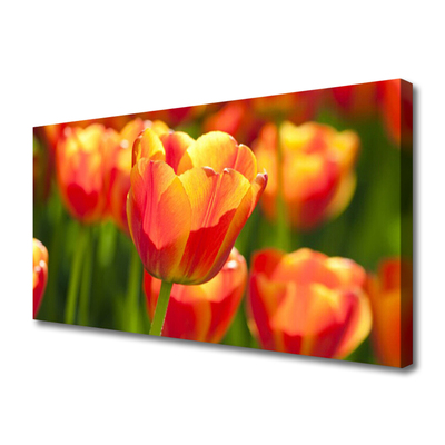 Stampa quadro su tela Tulipani, fiori, piante