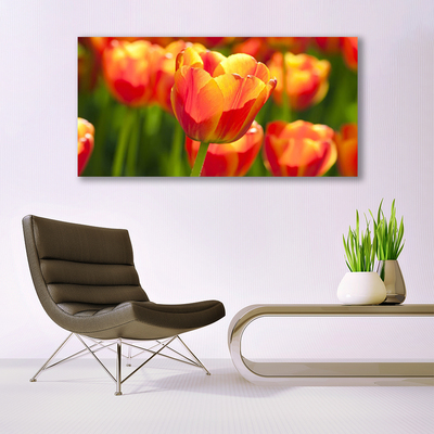 Stampa quadro su tela Tulipani, fiori, piante