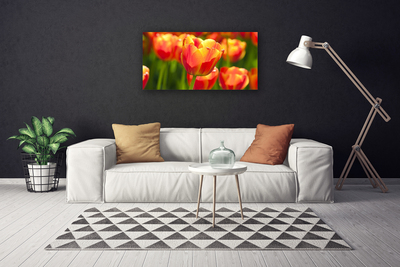 Stampa quadro su tela Tulipani, fiori, piante