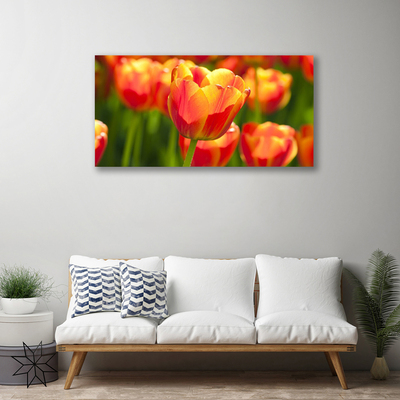 Stampa quadro su tela Tulipani, fiori, piante