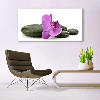 Quadro su tela Fiore di orchidea orchidea