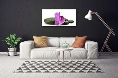 Quadro su tela Fiore di orchidea orchidea