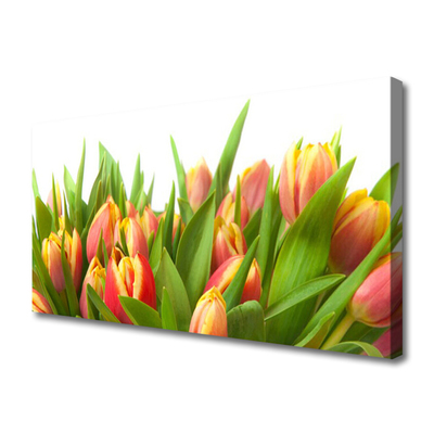 Quadro su tela Tulipani, fiori, piante