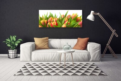 Quadro su tela Tulipani, fiori, piante