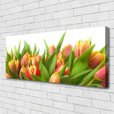 Quadro su tela Tulipani, fiori, piante