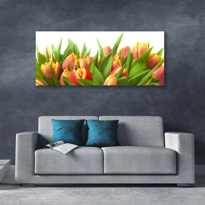 Quadro su tela Tulipani, fiori, piante