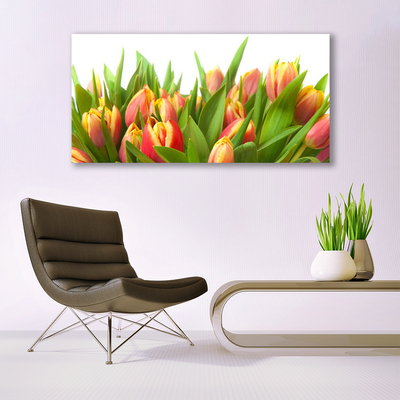 Quadro su tela Tulipani, fiori, piante