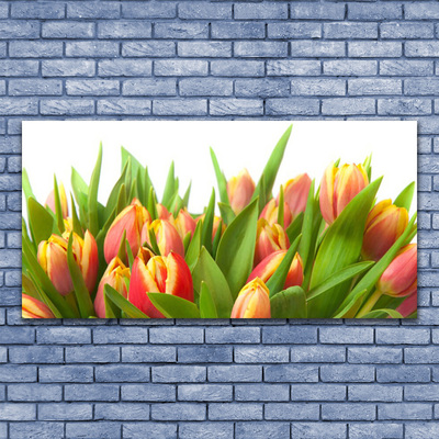 Quadro su tela Tulipani, fiori, piante