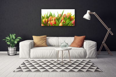 Quadro su tela Tulipani, fiori, piante