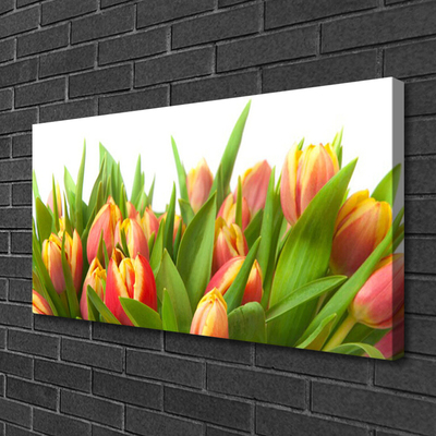 Quadro su tela Tulipani, fiori, piante