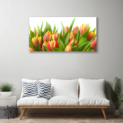 Quadro su tela Tulipani, fiori, piante