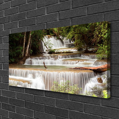 Quadro su tela Cascata della natura della foresta