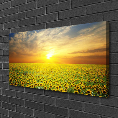 Quadro su tela Il sole, il prato, i girasoli