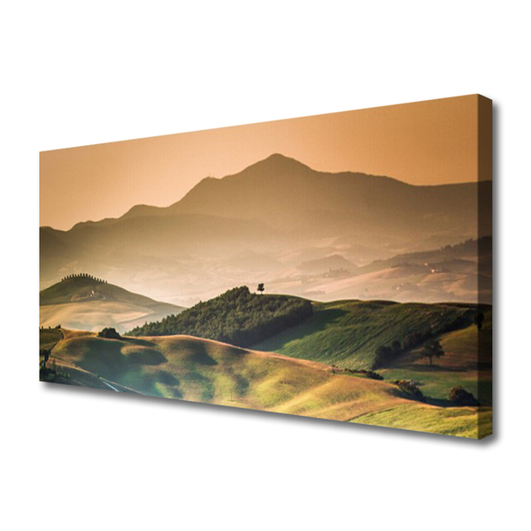 Quadro su tela Paesaggio del campo delle montagne