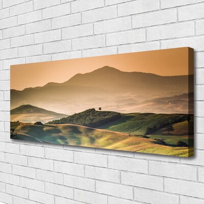 Quadro su tela Paesaggio del campo delle montagne