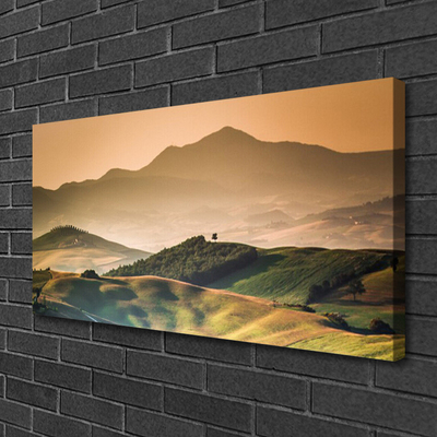 Quadro su tela Paesaggio del campo delle montagne