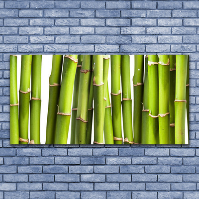 Quadro stampa su tela Bambù Pianta Natura