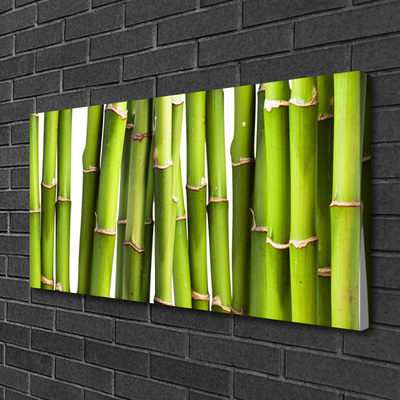 Quadro stampa su tela Bambù Pianta Natura