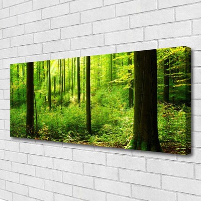 Quadro su tela Foresta Alberi Verdi Natura