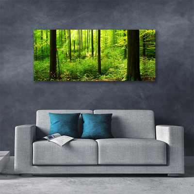 Quadro su tela Foresta Alberi Verdi Natura