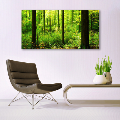 Quadro su tela Foresta Alberi Verdi Natura