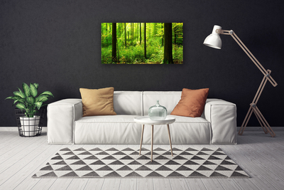 Quadro su tela Foresta Alberi Verdi Natura