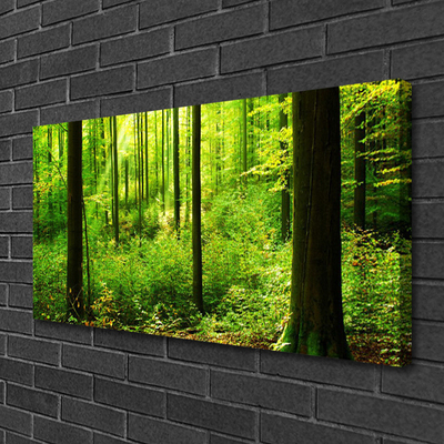 Quadro su tela Foresta Alberi Verdi Natura