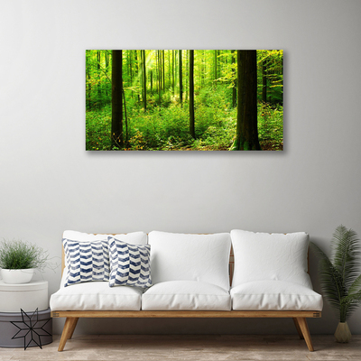 Quadro su tela Foresta Alberi Verdi Natura