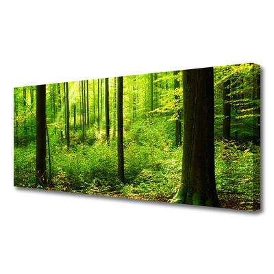 Quadro su tela Foresta Alberi Verdi Natura