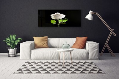 Foto quadro su tela Natura della pianta del fiore della rosa