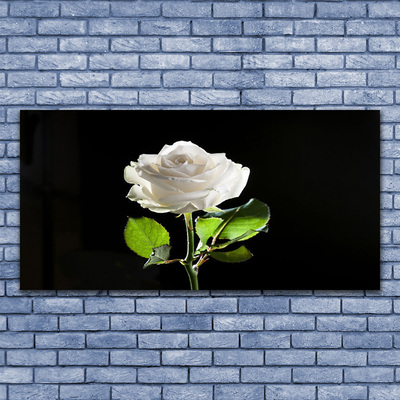 Foto quadro su tela Natura della pianta del fiore della rosa