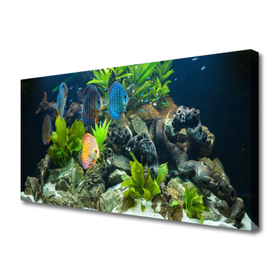 Quadro su tela Pesce d'acquario naturale