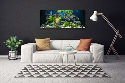 Quadro su tela Pesce d'acquario naturale