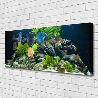 Quadro su tela Pesce d'acquario naturale