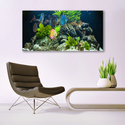 Quadro su tela Pesce d'acquario naturale