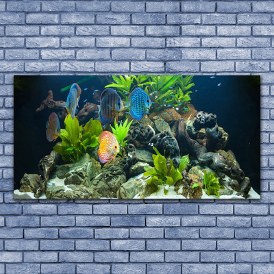 Quadro su tela Pesce d'acquario naturale