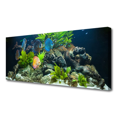 Quadro su tela Pesce d'acquario naturale