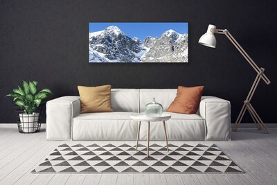 Foto quadro su tela Paesaggio di neve di montagna