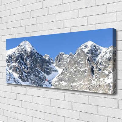 Foto quadro su tela Paesaggio di neve di montagna