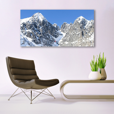 Foto quadro su tela Paesaggio di neve di montagna