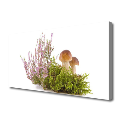 Stampa quadro su tela Funghi, piante, natura