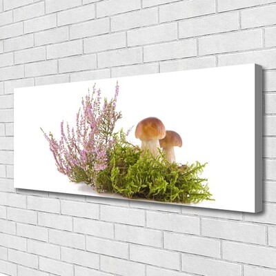 Stampa quadro su tela Funghi, piante, natura